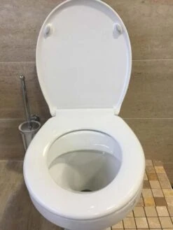 Croydex Luminoso Illuminated Toilet Seat - Light Up -Burlington Bath Shop IMG 5005 1