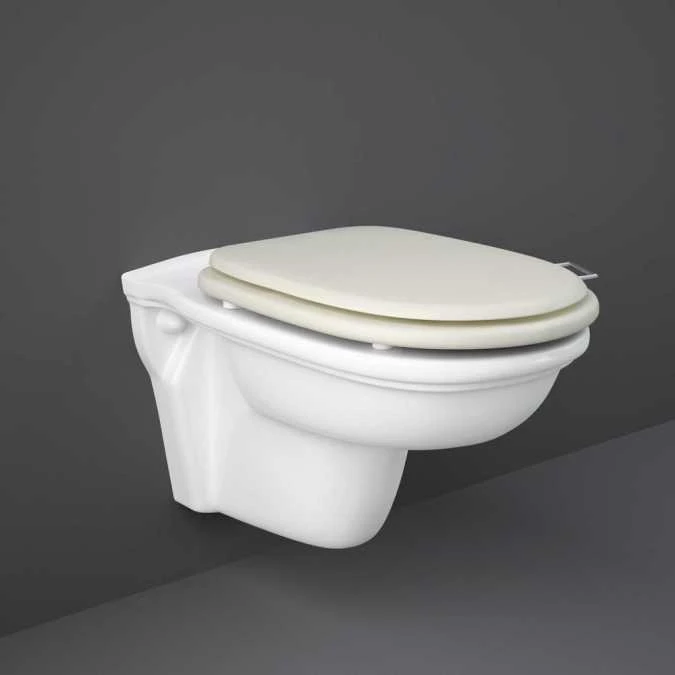 Washington Wall Hung WC With Soft Close Seat Greige - RAK Ceramics 3 Washington Wall Hung WC With Soft Close Seat Greige - RAK Ceramics