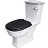 Washington Close Coupled Open Back Lever Flush WC With Soft Close Seat Black - RAK Ceramics 1 Washington Close Coupled Open Back Lever Flush WC With Soft Close Seat Black - RAK Ceramics -Burlington Bath Shop Washington Black WC