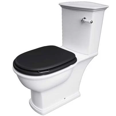 Washington Close Coupled Open Back Lever Flush WC With Soft Close Seat Black - RAK Ceramics 3 Washington Close Coupled Open Back Lever Flush WC With Soft Close Seat Black - RAK Ceramics