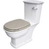 Washington Close Coupled Open Back Lever Flush WC With Soft Close Seat Cappuccino - RAK Ceramics 1 Washington Close Coupled Open Back Lever Flush WC With Soft Close Seat Cappuccino - RAK Ceramics -Burlington Bath Shop Washington Cappuccino WC