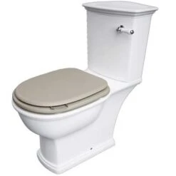 Washington Close Coupled Open Back Lever Flush WC With Soft Close Seat Cappuccino - RAK Ceramics