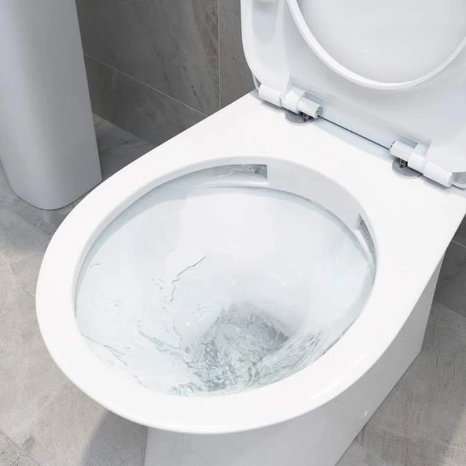 Appleyard Rimless Back To Wall Toilet & Soft Close Seat 4 Appleyard Rimless Back To Wall Toilet & Soft Close Seat - Image 2