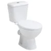 Kartell Proton Rimless Toilet With Soft Close Seat 1 Kartell Proton Rimless Toilet With Soft Close Seat -Burlington Bath Shop image387245318 1