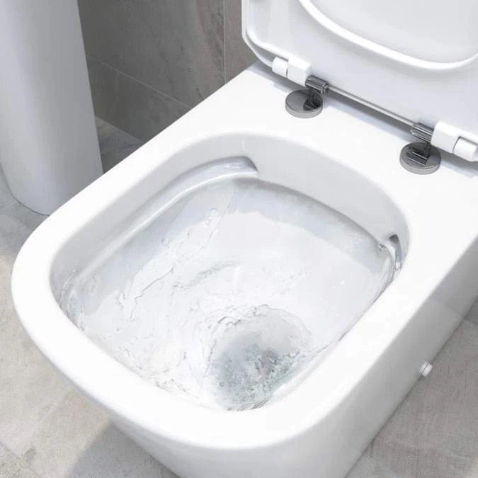 Ankam Rimless Comfort Height Back To Wall Toilet & Soft Close Seat 5 Ankam Rimless Comfort Height Back To Wall Toilet & Soft Close Seat - Image 3